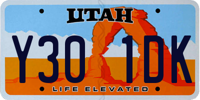 UT license plate Y301DK