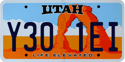 UT license plate Y301EI