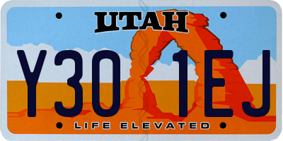 UT license plate Y301EJ