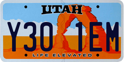 UT license plate Y301EM