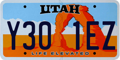 UT license plate Y301EZ