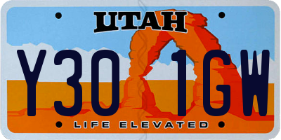 UT license plate Y301GW