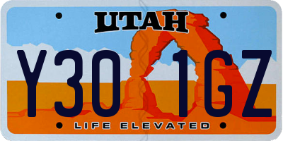 UT license plate Y301GZ