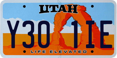 UT license plate Y301IE