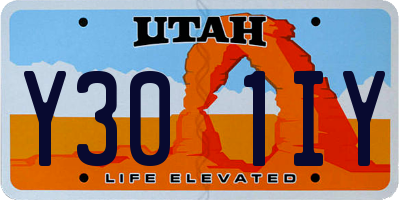 UT license plate Y301IY