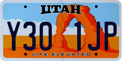 UT license plate Y301JP