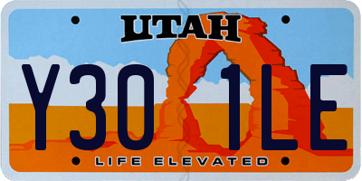 UT license plate Y301LE