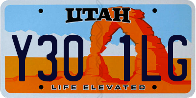 UT license plate Y301LG
