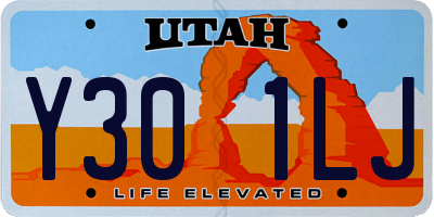 UT license plate Y301LJ
