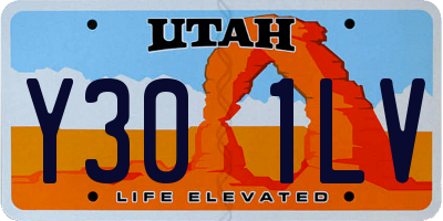 UT license plate Y301LV