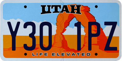 UT license plate Y301PZ