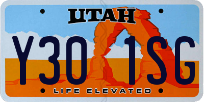UT license plate Y301SG