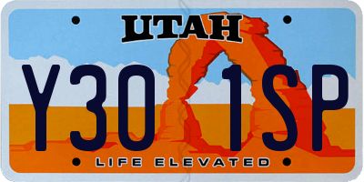 UT license plate Y301SP