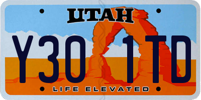 UT license plate Y301TD