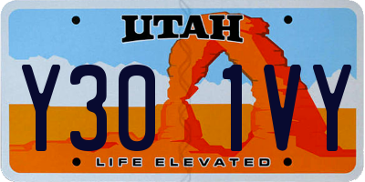 UT license plate Y301VY