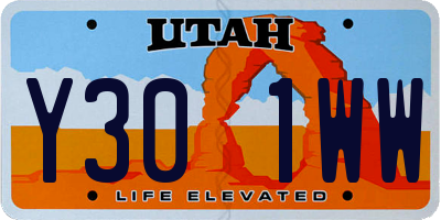 UT license plate Y301WW