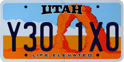 UT license plate Y301XO