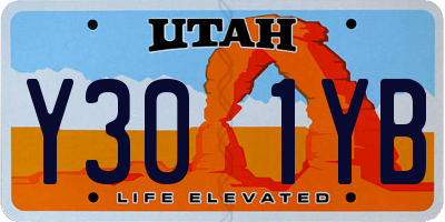 UT license plate Y301YB