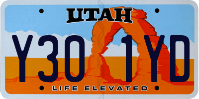 UT license plate Y301YD