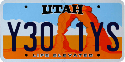 UT license plate Y301YS