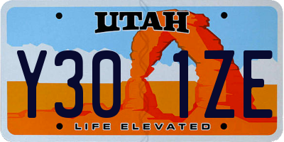 UT license plate Y301ZE