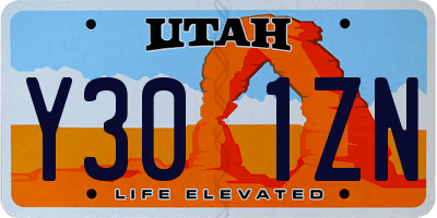 UT license plate Y301ZN