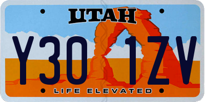 UT license plate Y301ZV