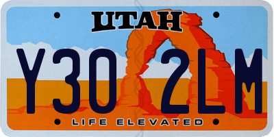UT license plate Y302LM