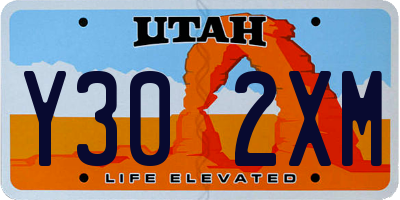 UT license plate Y302XM