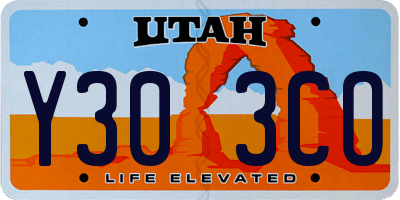 UT license plate Y303CO