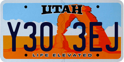 UT license plate Y303EJ
