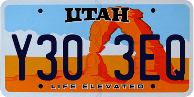UT license plate Y303EQ