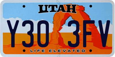 UT license plate Y303FV