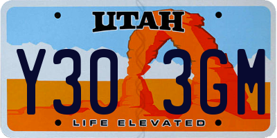 UT license plate Y303GM