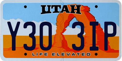 UT license plate Y303IP