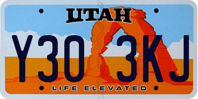 UT license plate Y303KJ