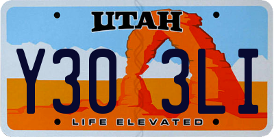 UT license plate Y303LI