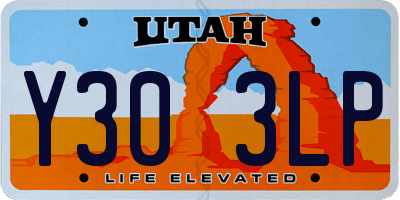UT license plate Y303LP