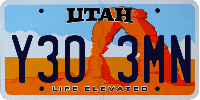 UT license plate Y303MN