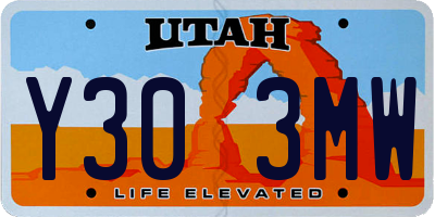 UT license plate Y303MW