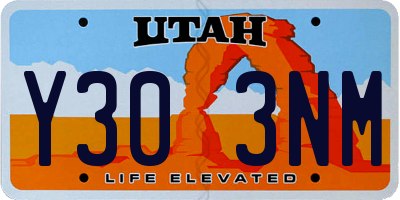 UT license plate Y303NM