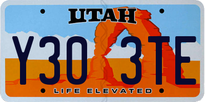 UT license plate Y303TE