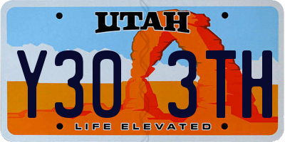 UT license plate Y303TH
