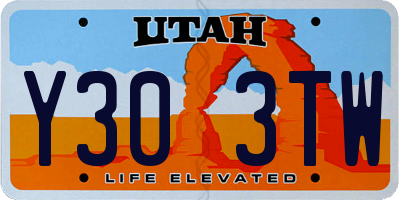 UT license plate Y303TW