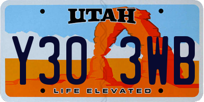 UT license plate Y303WB