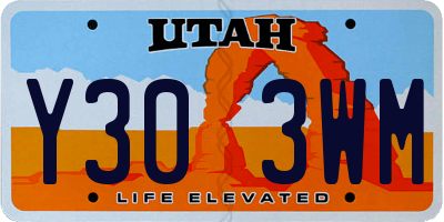 UT license plate Y303WM