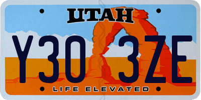 UT license plate Y303ZE