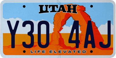 UT license plate Y304AJ