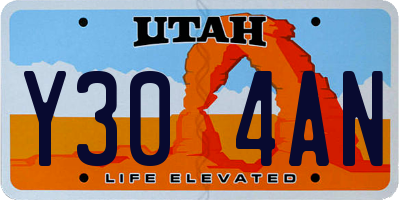 UT license plate Y304AN