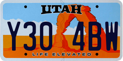 UT license plate Y304BW